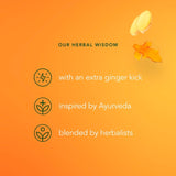 Pukka Three Ginger herbal tea bags x20, imported from the UK