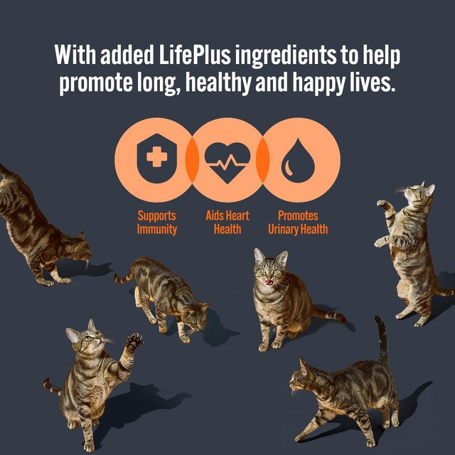 HiLife wet cat food tuna and mackerel in jelly 8 x 70g, UK version