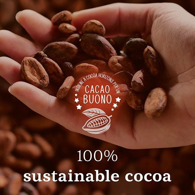 Barilla Pan Di Stelle chocolate biscuits 350g, imported from the UK