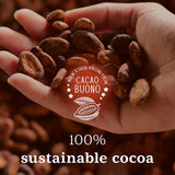 Barilla Pan Di Stelle chocolate biscuits 350g, imported from the UK
