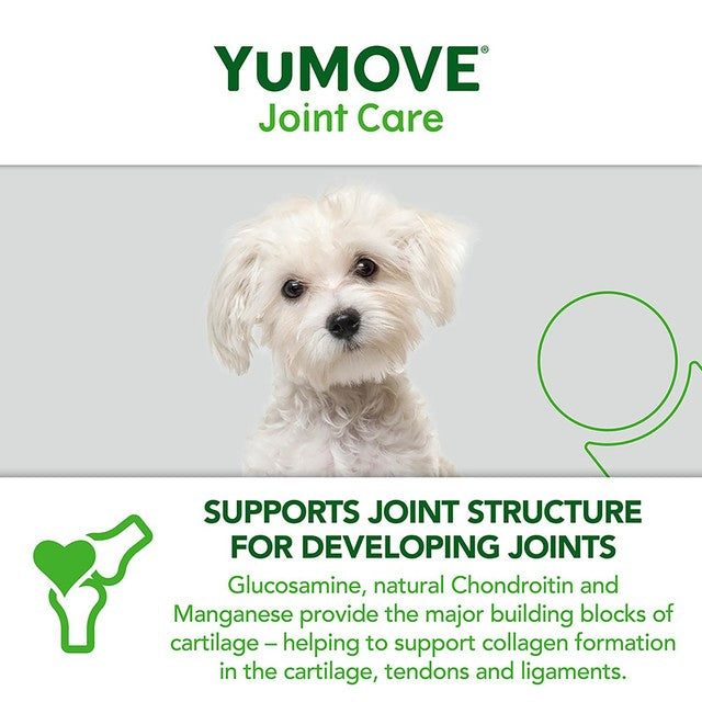 Lintbells YuMOVE Young & Active Dog Joint Supplement (British brand)