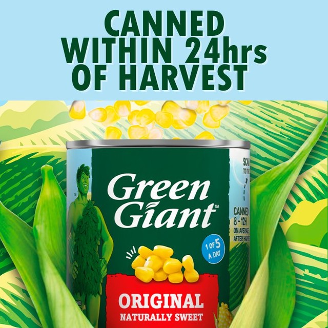 Green Giant Salt Free Sweetcorn canned vegetable - British product