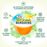 Dole mandarins in juice fruit pots 4 x 113g multipack - British product