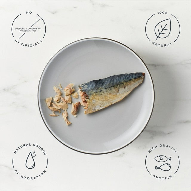 Encore mackerel loin cat treat 30g - British product