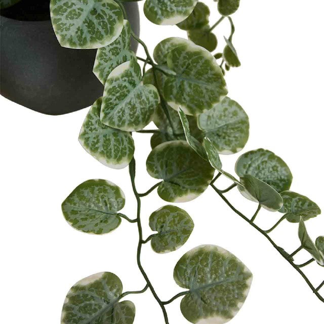 M&S artificial trailing eucalyptus in ceramic pot grey 16cm, imported from the UK