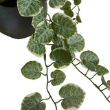M&S artificial trailing eucalyptus in ceramic pot grey 16cm, imported from the UK