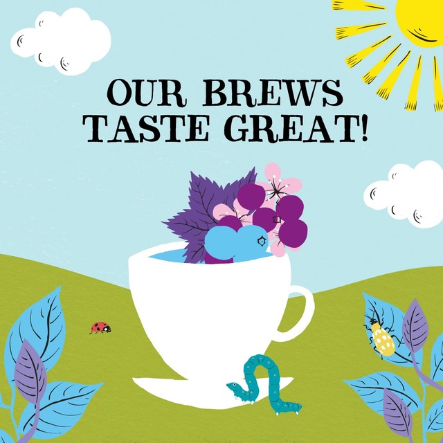 Clipper Blackcurrant & Blueberry Organic Tea Bags 20 Pack - British product