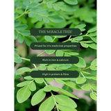 Aduna Moringa Organic Superfood Powder 100g - British product