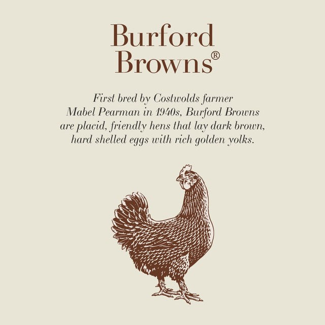 Clarence Court Burford Brown 6 medium eggs - British product