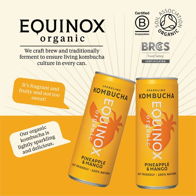 Equinox organic pineapple mango kombucha can, imported from the UK