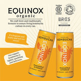 Equinox organic pineapple mango kombucha can, imported from the UK