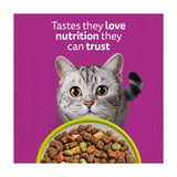 Whiskas dry cat food with lamb 825g (British brand)