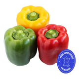 Wholegood organic mixed peppers trio pack (British brand)