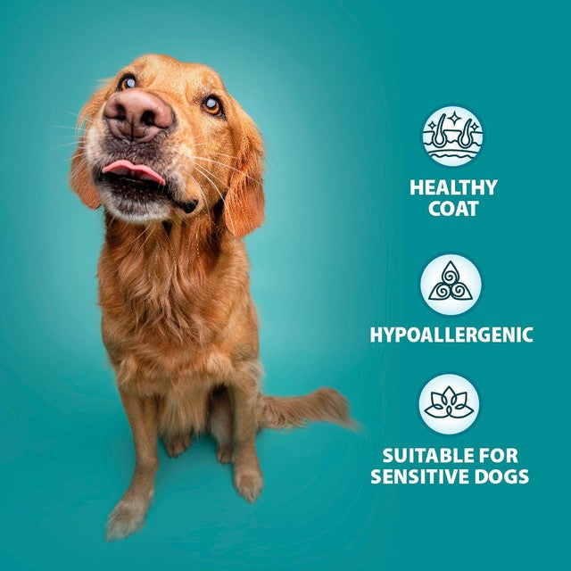 Burns wet dog food variety box 6 x 395g - British product