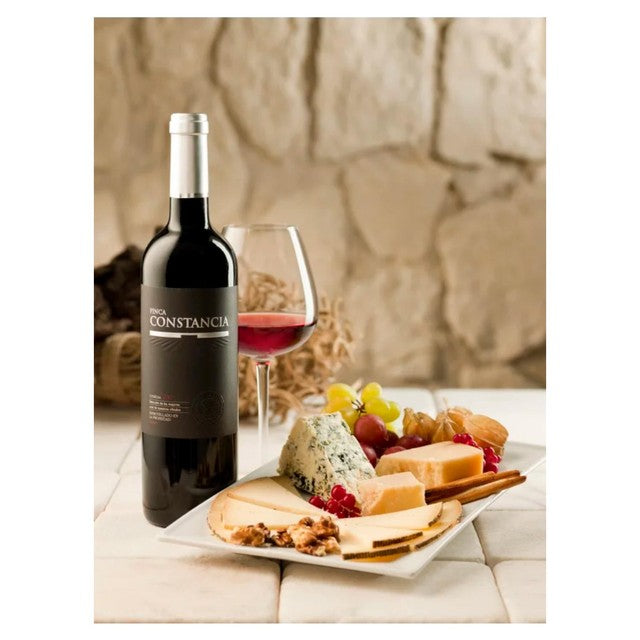 Finca Constancia Seleccion red wine 75cl - British product