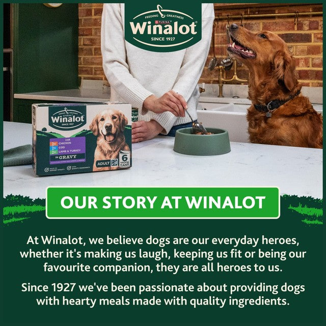 Winalot Classics Mixed in Jelly wet dog food 400g can (British brand)