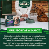 Winalot Classics Mixed in Jelly wet dog food 400g can (British brand)