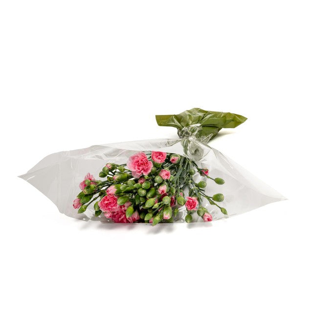 MM Flowers pink spray carnations 10 stems 40cm (British brand)