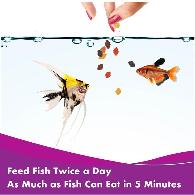 Aquarian tropical fish food flakes 25g - British product