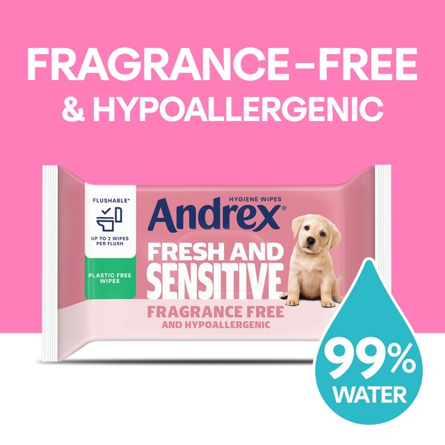Andrex Fresh and Sensitive Hygiene Wipes 120 Pack - British product