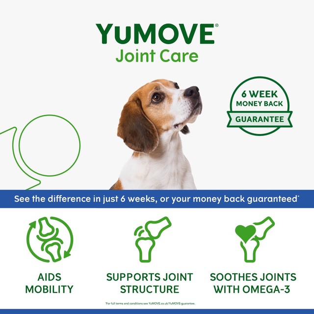 YuMOVE joint support tablets for senior dogs - British brand
