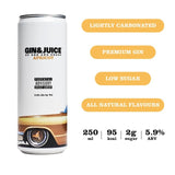 Gin & Juice Apricot canned cocktail 250ml, UK version