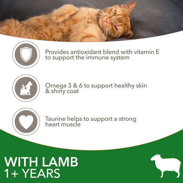 Iams dry cat food with lamb 800g, UK version