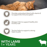 Iams dry cat food with lamb 800g, UK version
