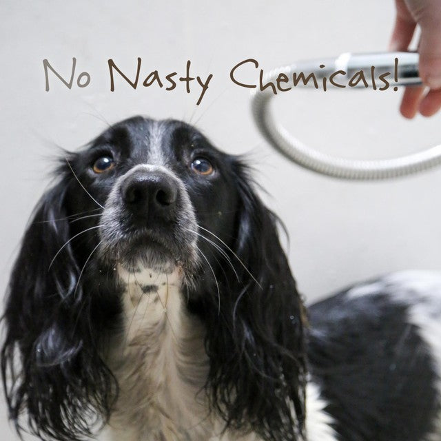 Little Beast organic sensitive dog shampoo bar 100g, UK version