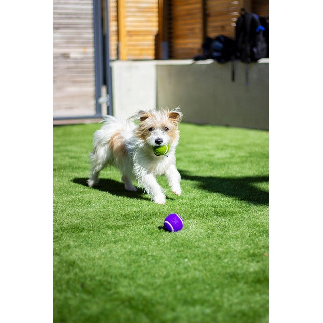 Rosewood Battersea Tennis Balls pack of 3 - British product