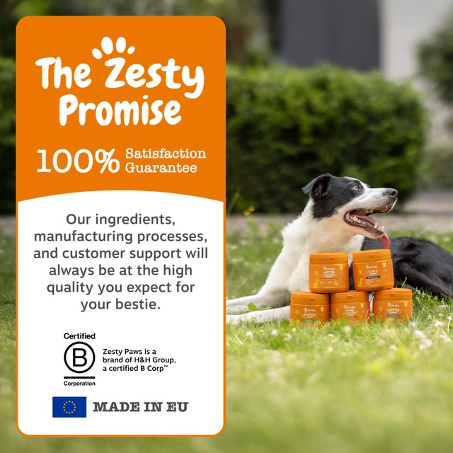 Zesty Paws senior dog chews turkey flavour, imported from the UK