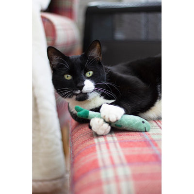 Rosewood Battersea Daily Catch kattemyntefisk Leker Sett med 3