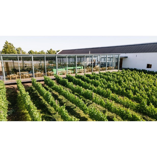 Babylonstoren Babel Red Blend 75cl - British product