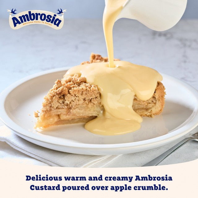 Ambrosia Devon custard 500g carton - British product