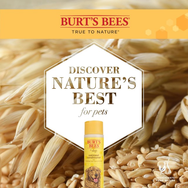 Burt's Bees oatmeal dog conditioner 284ml - British product