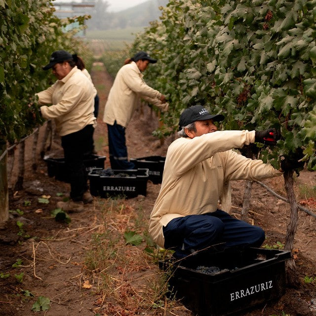 Errazuriz Reserva Pinot Noir red wine 75cl - British product