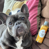 WildWash 2-in-1 charity dog shampoo and conditioner, UK version