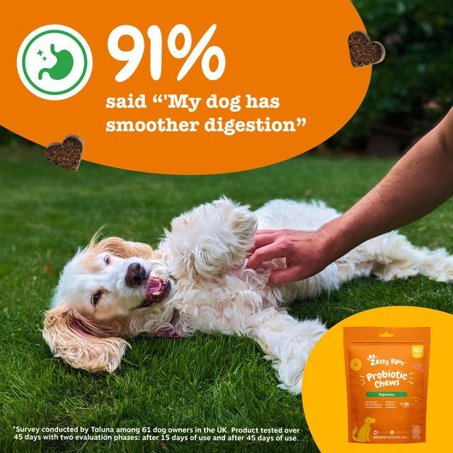 Zesty Paws dog chews probiotic pumpkin flavour - British product