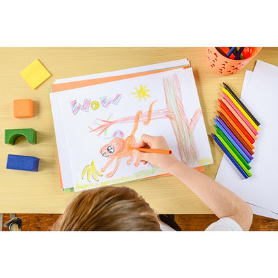 M&S BIC Kids Plastidecor Coloring Crayons 12 Pack- Acheter en ligne chez McGrocer