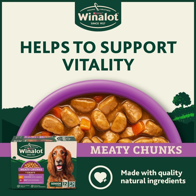 Winalot meaty chunks senior wet dog food 12x100g (British brand)