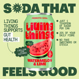 Living Things Watermelon & Lime Biotic Soda 4 x 330ml, UK version
