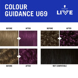 Schwarzkopf Amethyst Chrome purple hair dye kit, UK version