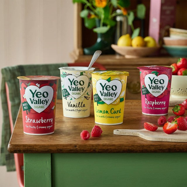 Yeo Valley organic raspberry yogurt 450g (British brand)