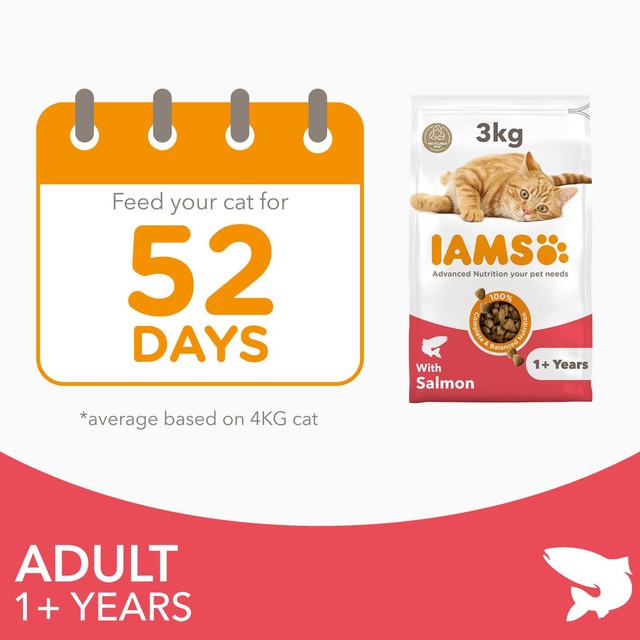 IAMS Adult Dry Cat Food Salmon 3kg, UK version