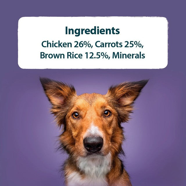 Burns Free Range Chicken wet dog food 6x395g - British product