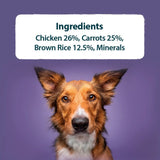 Burns Free Range Chicken wet dog food 6x395g - British product