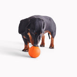 Beco Pets Natural Rubber Fetch Ball Orange - British product