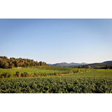 Chateau La Gordonne Rosé Magnum 1.5L - British product