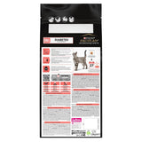 Pro Plan DM Diabetes Management dry cat food, imported from the UK
