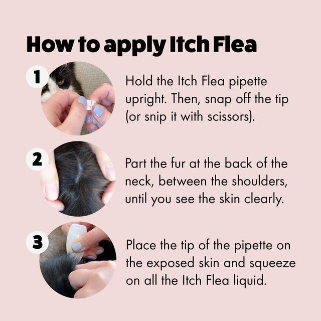 Itch Flea Treatment for Cats 2 pack, UK version